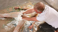 A Messy Edging For Dylan