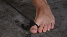 Flogged And Wanked Off!