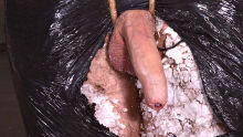 Leo Torments Twinky Jacob - Part 3