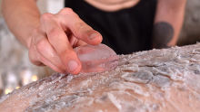 Waxed Boy Whimpers - Part 1