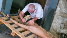 The Intense Edging Of Blond Boy Ricky - Part 2